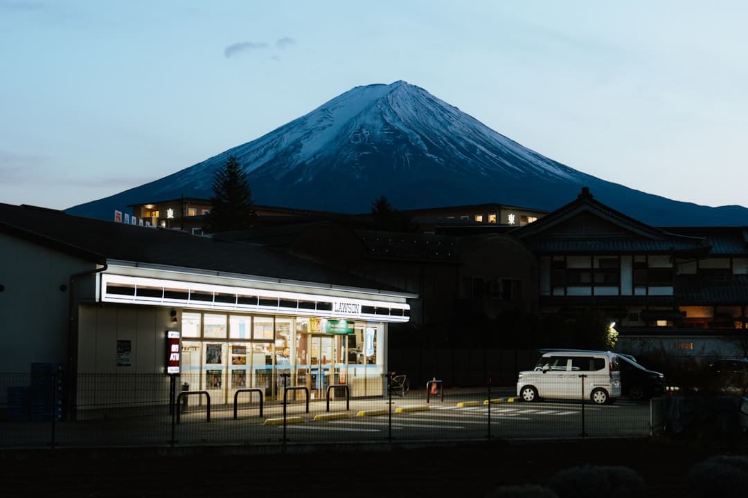 寒武纪：股票价格存在脱离当时根本面的危险 估计全年营收50亿元至70亿元
